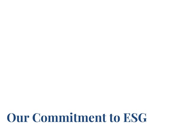 Annual ESG Report - Page 4